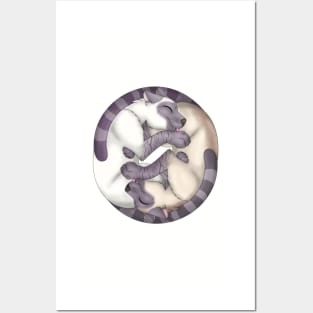 Yin-Yang Cats: Lilac Lynx Point Posters and Art